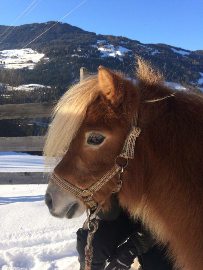 Apart.Pitztal アルツル・イム・ピッツタール エクステリア 写真